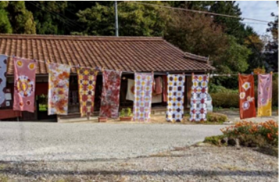 Olive trees on a sunny hillside